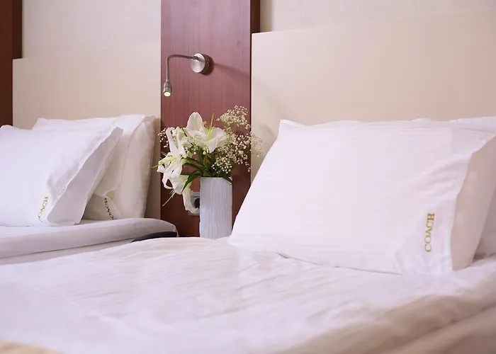 ホテル The Coach 3*